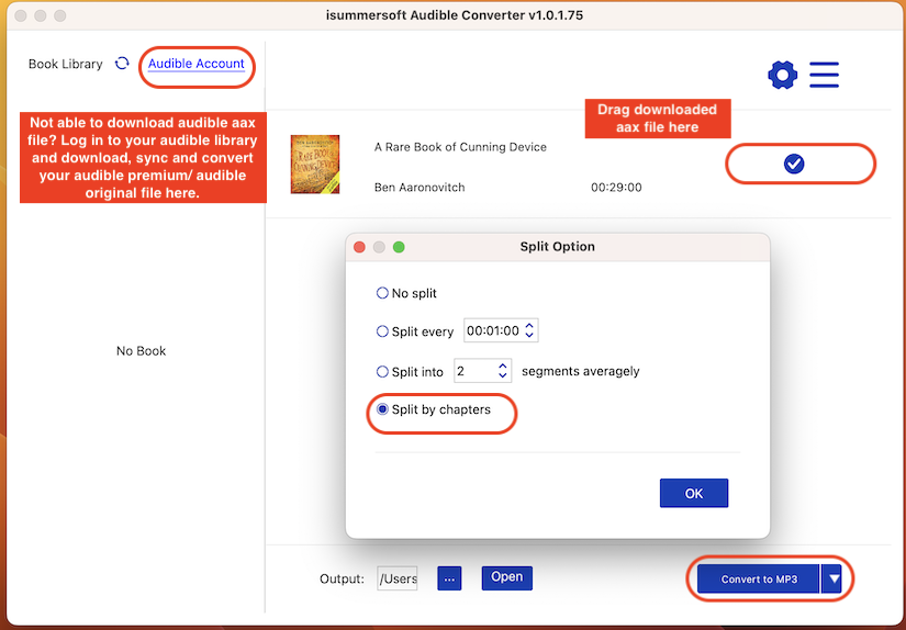 summer audible converter new upgrade