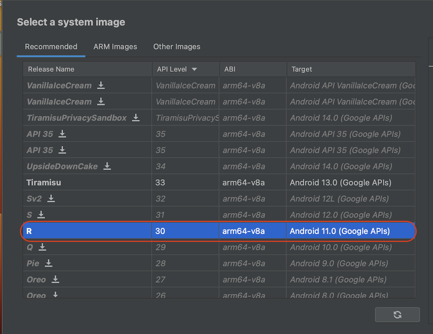 android 11.0 (google apis)