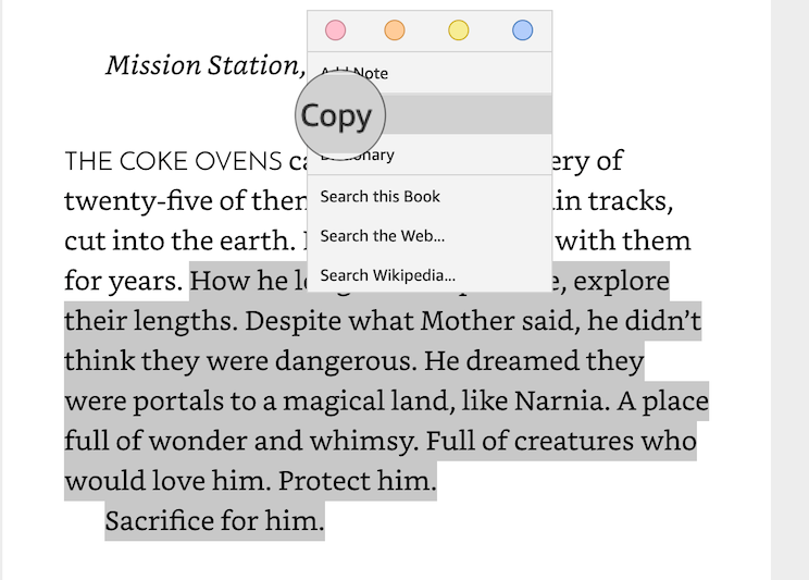 copy kindle text Mac